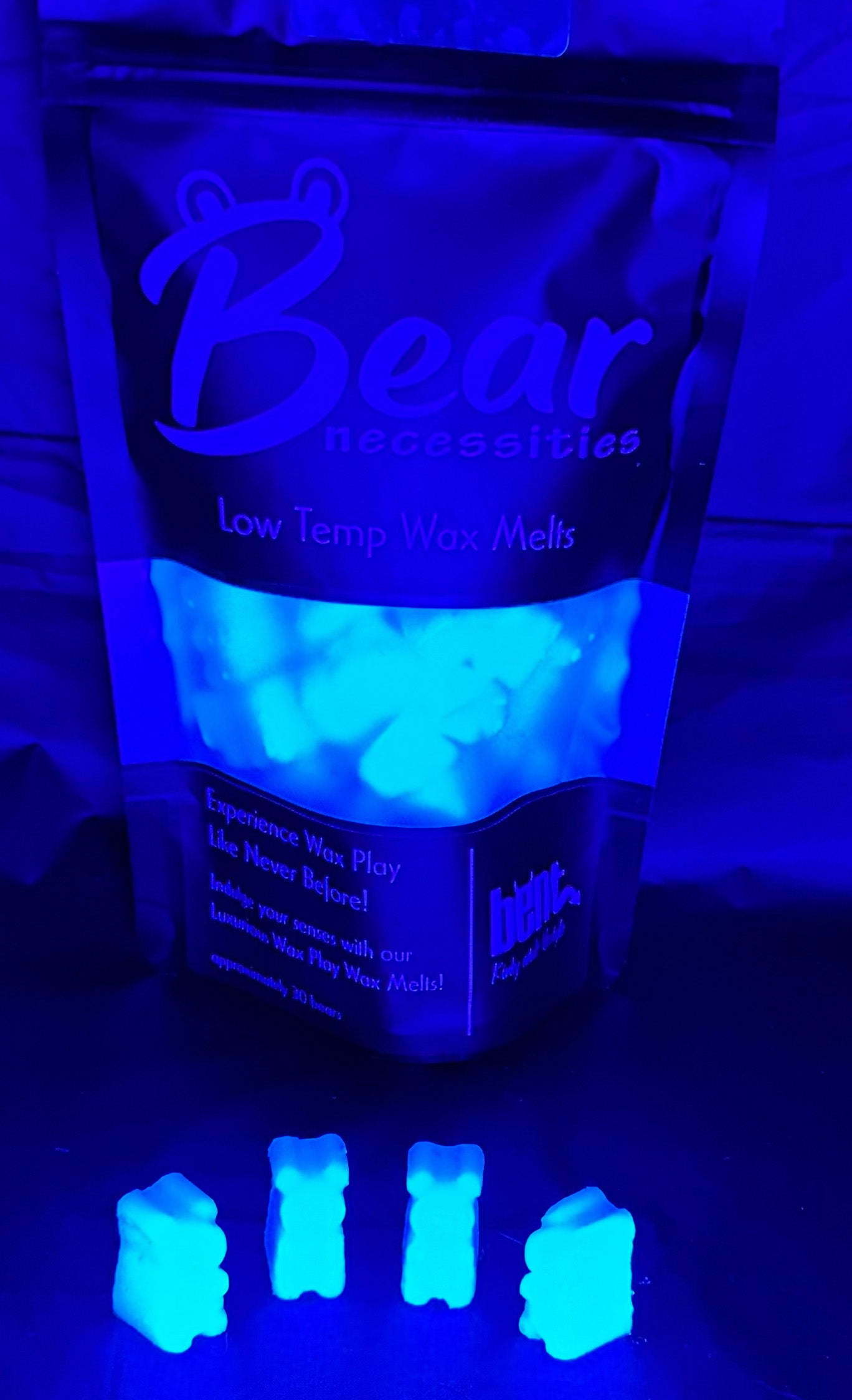 BearNecessities - Blue