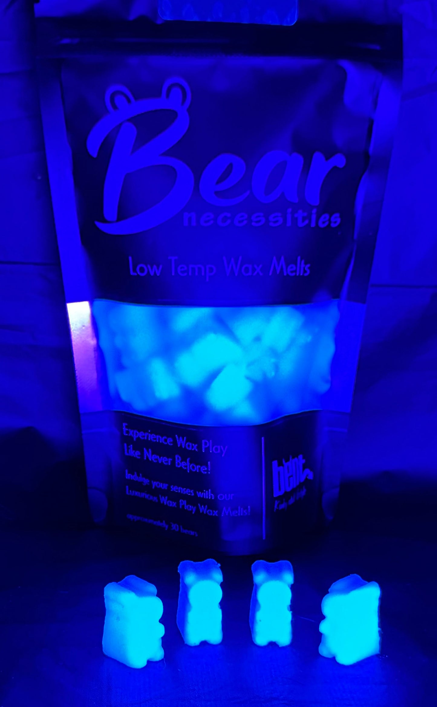 BearNecessities - Blue